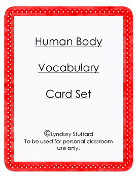 Preview of Body Parts Vocabulary Cards FREEBIE