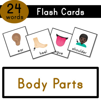 Preview of Body Parts - Vocabulary Cards