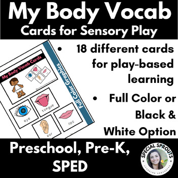 Preview of Body Parts Vocabulary Cards for Sensory Bin Activities in Preschool, Pre-K, SPED