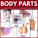 Body Parts Vocabulary Picture Cards Speech Therapy ESL Aut