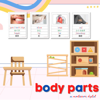 Preview of Body Parts Vocabulary (English/Hiragana/Romaji/Kanji)