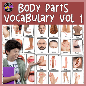 Preview of Body Parts Vocabulary Flashcards, Real Photos For Special Education, ESL Part 1