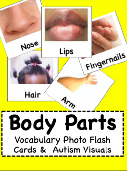 Preview of Body Parts - Vocabulary Photo Flash Cards & Autism Visuals