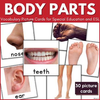 Preview of Body Parts Vocabulary Picture Cards Speech Therapy Autism ESL Flashcards Sped