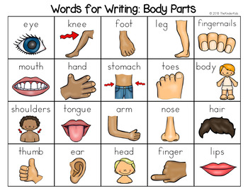 Preview of Body Parts Word List - Writing Center