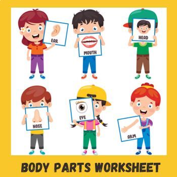 Preview of Body Parts Worksheet