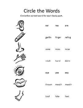 body parts worksheet by doodles and donuts teachers pay