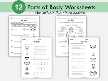 body parts and 5 senses kindergarten worksheets sense organs human body t 279