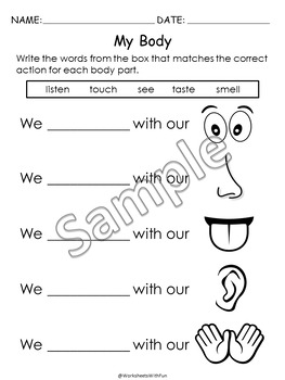 human body parts worksheets 5 senses kindergarten summer morning work t 279