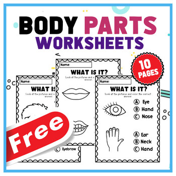 Preview of Body Parts Worksheets for Kids