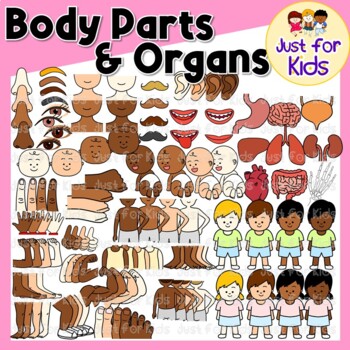 Preview of Body Parts and Organs Clipart By Just For Kids．151pcs