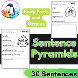 Body Parts and Organs Themed Fluency Practice | Sentence P