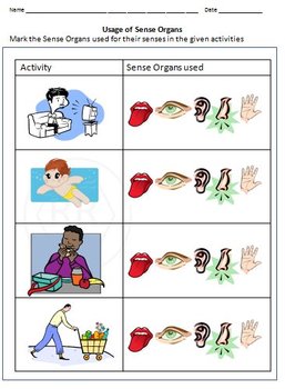 body parts and sense organs for grade 1 and 2 by rituparna reddi