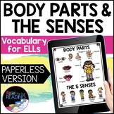 Body Parts and The Senses Digital ESL Vocabulary Unit: ESL