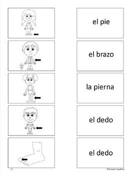 Body Parts Activities and Games in Spanish - Las Partes del Cuerpo