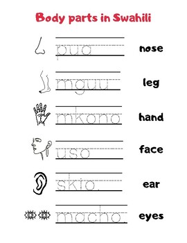 Preview of Body Parts in Swahili Worksheet
