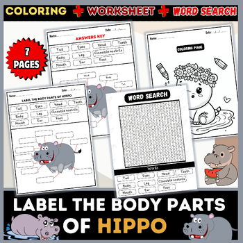 Preview of Body Parts of Hippo: Word Search, Labeling, Worksheet, Coloring Pages