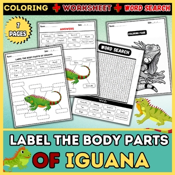Preview of Body Parts of Iguana: Word Search, Labeling, Worksheet, Coloring Pages
