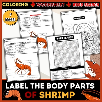 Preview of Body Parts of Shrimp: Word Search, Labeling, Worksheet, Coloring Pages