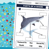 Body Parts of a Shark Worksheets, with Answer Keys
