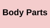 Body Parts ppt