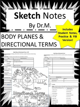 Preview of Body Planes/Directional Terms Sketch Doodle Notes, Student Notes, incl FIB Vers