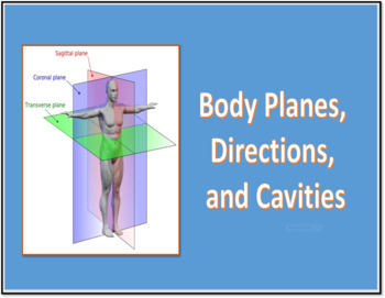 Preview of Body Planes, Directions, and Cavities