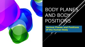 Preview of Body Planes and Positions PowerPoint (Anatomy & Physiology)