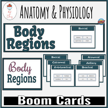 Preview of Body Regions Boom Cards