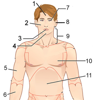 9 regions of the body