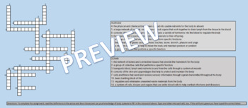 Preview of Body System Crossword Self Grading EXCEL