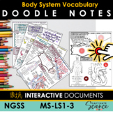 Body System Doodle Notes MS-LS1-3 Vocabulary Review