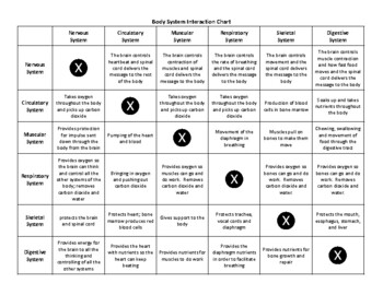 Preview of Body System Interaction Chart