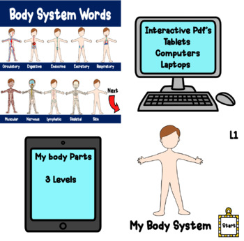 Preview of Body System Interactive Pdf