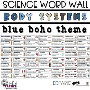 Preview of Body System Organs Word Wall