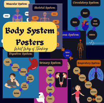 Preview of Body System Posters- 7 Systems