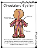 Body System Posters