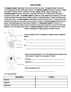 Body System Review Handout by DimiBooks - In Depth Learning Resources