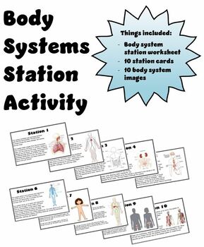 Preview of Body System Station Activity