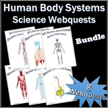 Preview of Body Systems Webquests Science Bundle + Vocab Quizzes + Crossword Puzzles