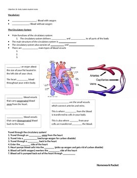 Preview of Body Systems