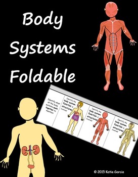 Preview of Body Systems