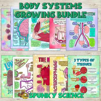 Preview of Body Systems Anchor Chart Activity Set GROWING BUNDLE