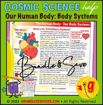 Preview of Body Systems: Nervous, Circulatory, Respiratory & Immune System & Viruses BUNDLE