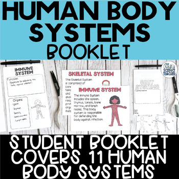 Circulatory system worksheets