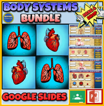 Preview of Body Systems Bundle: 5 Drag & Drop Worksheets: Google Slides: Distance Learning