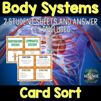 Preview of Body Systems Card Sort
