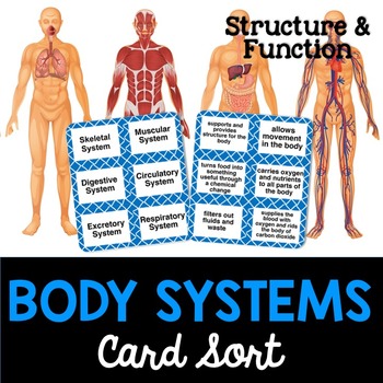 Preview of Body Systems Card Sort or Lab Station Activity