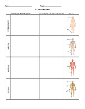 Preview of Body Systems Chart Worksheet