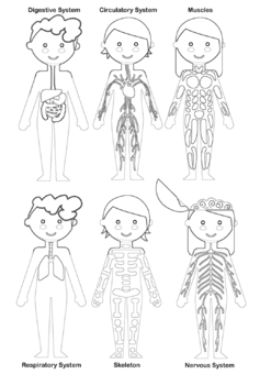 human body coloring pages for kids